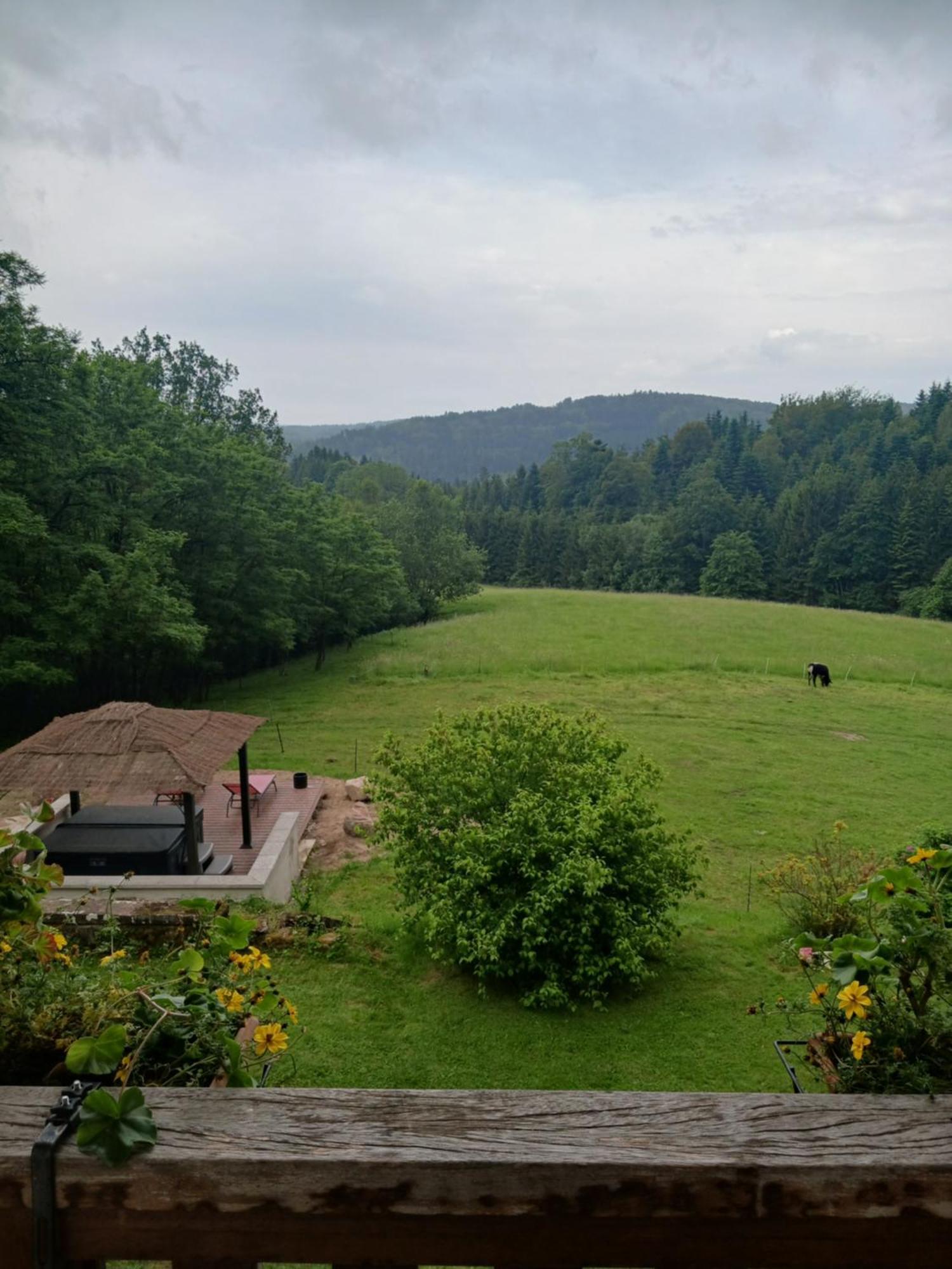 Les Accacias Bed & Breakfast Moyenmoutier Exterior photo